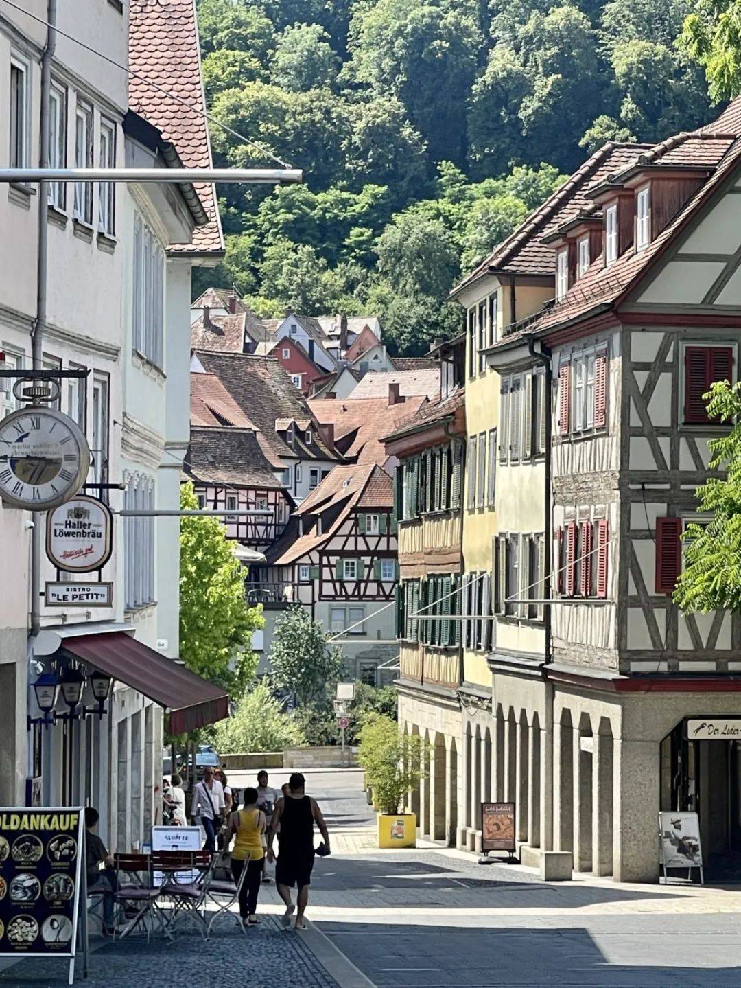 行万里路开启赴德研修之旅 | 我校外语部德语教师参加歌德学院"德语