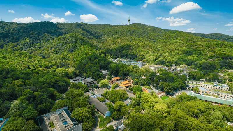 8月16号,中山青旅自组团