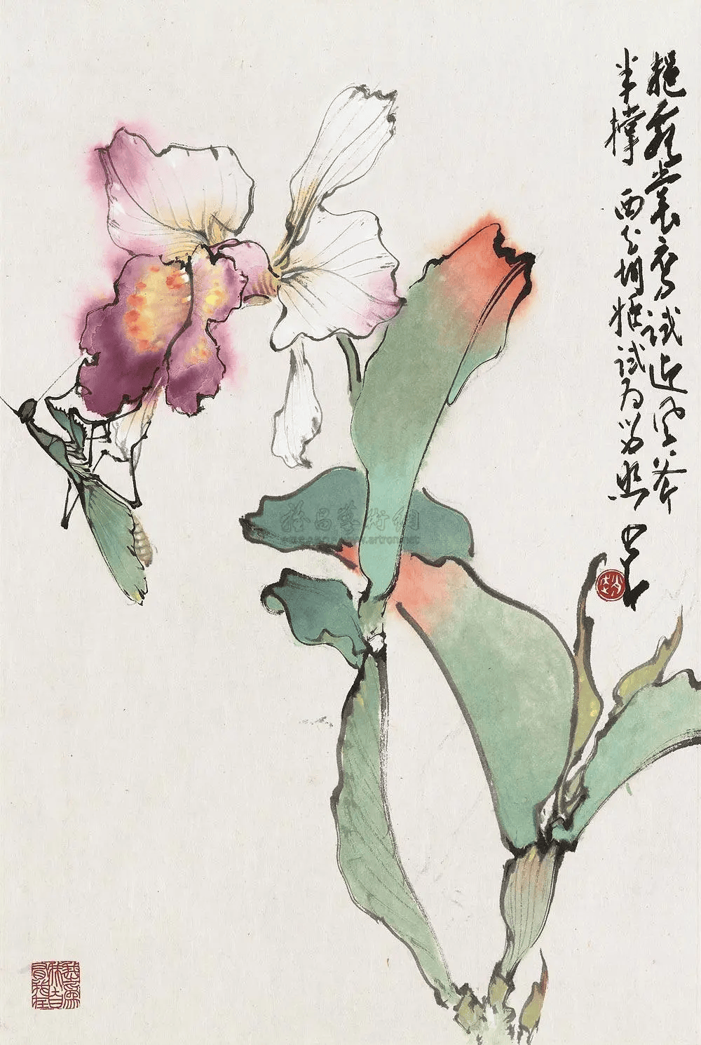 赵少昂写意花鸟图片