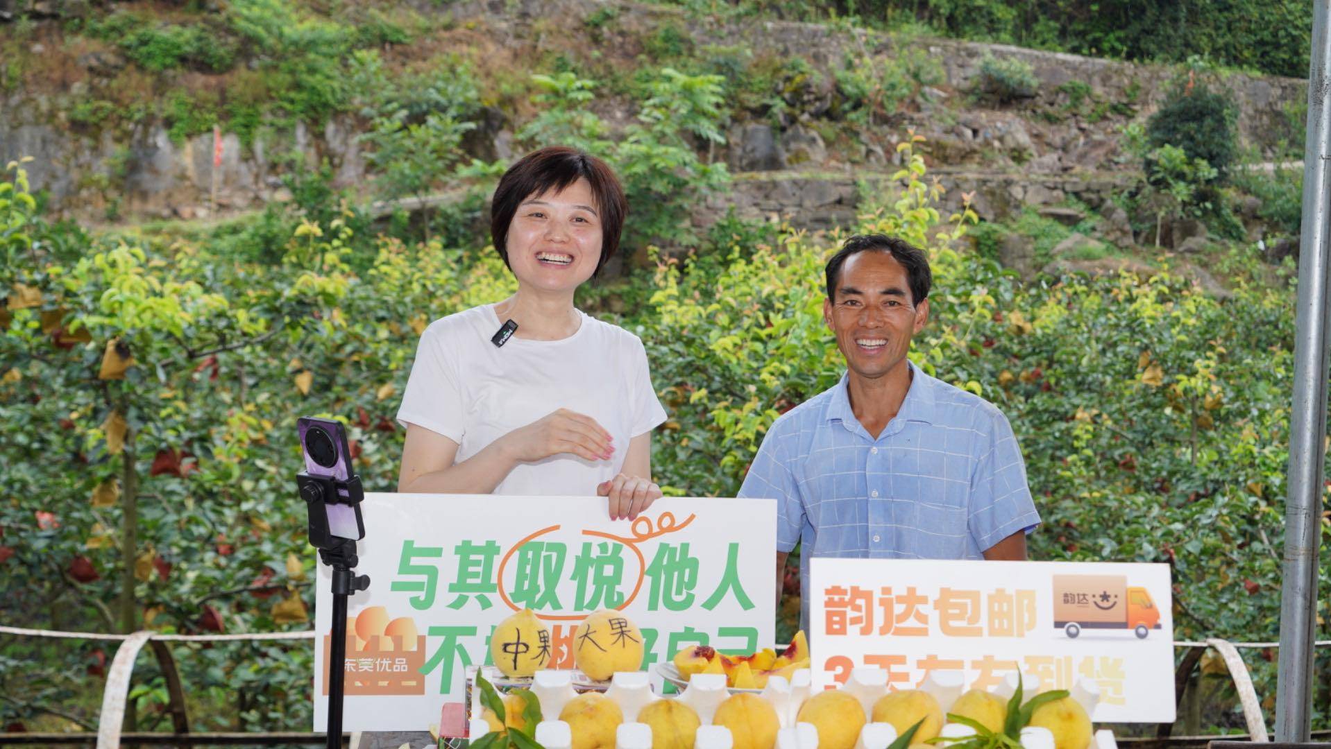 开播5小时销2万斤!莞铜连心,东莞助力铜仁黄桃热卖