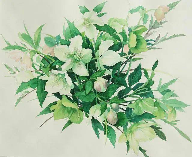 写实水彩花卉,逼真到令人惊叹!_大学_风景_侵权