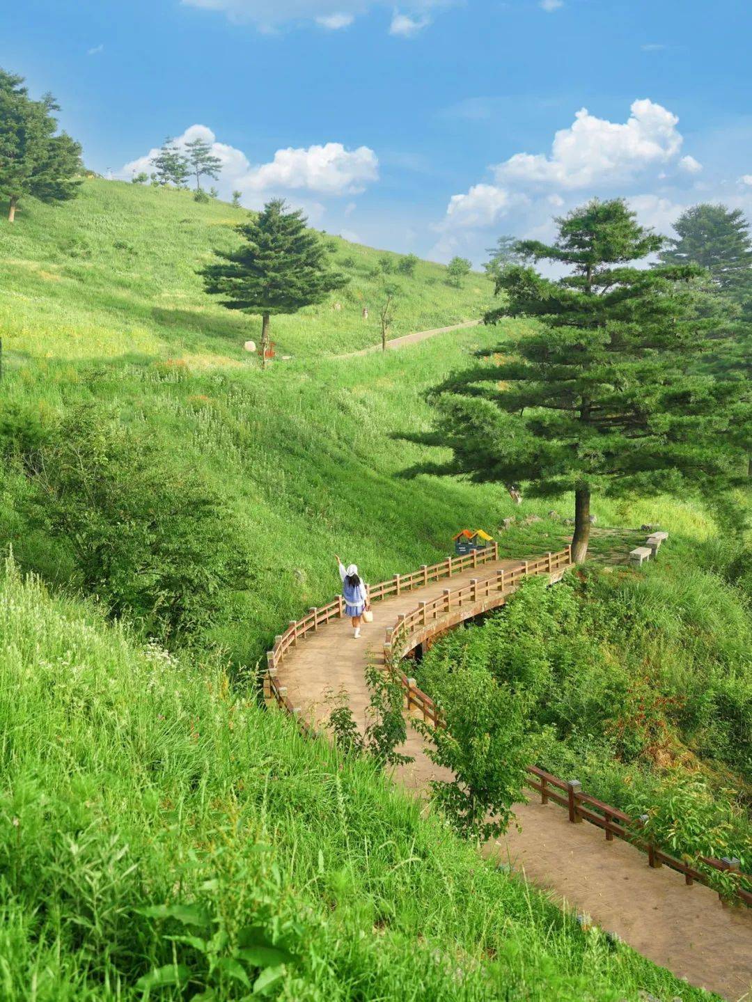 百里荒草原风景区图片