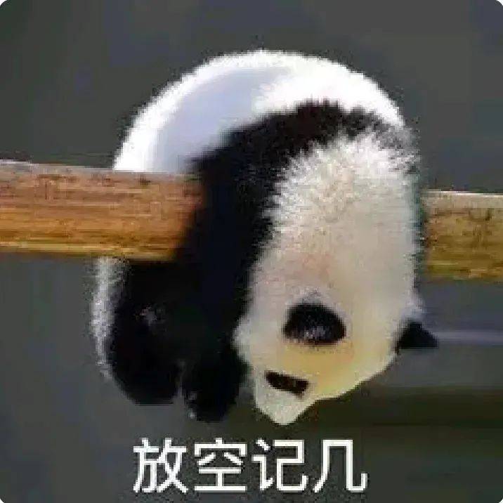 可爱大熊猫表情包合集