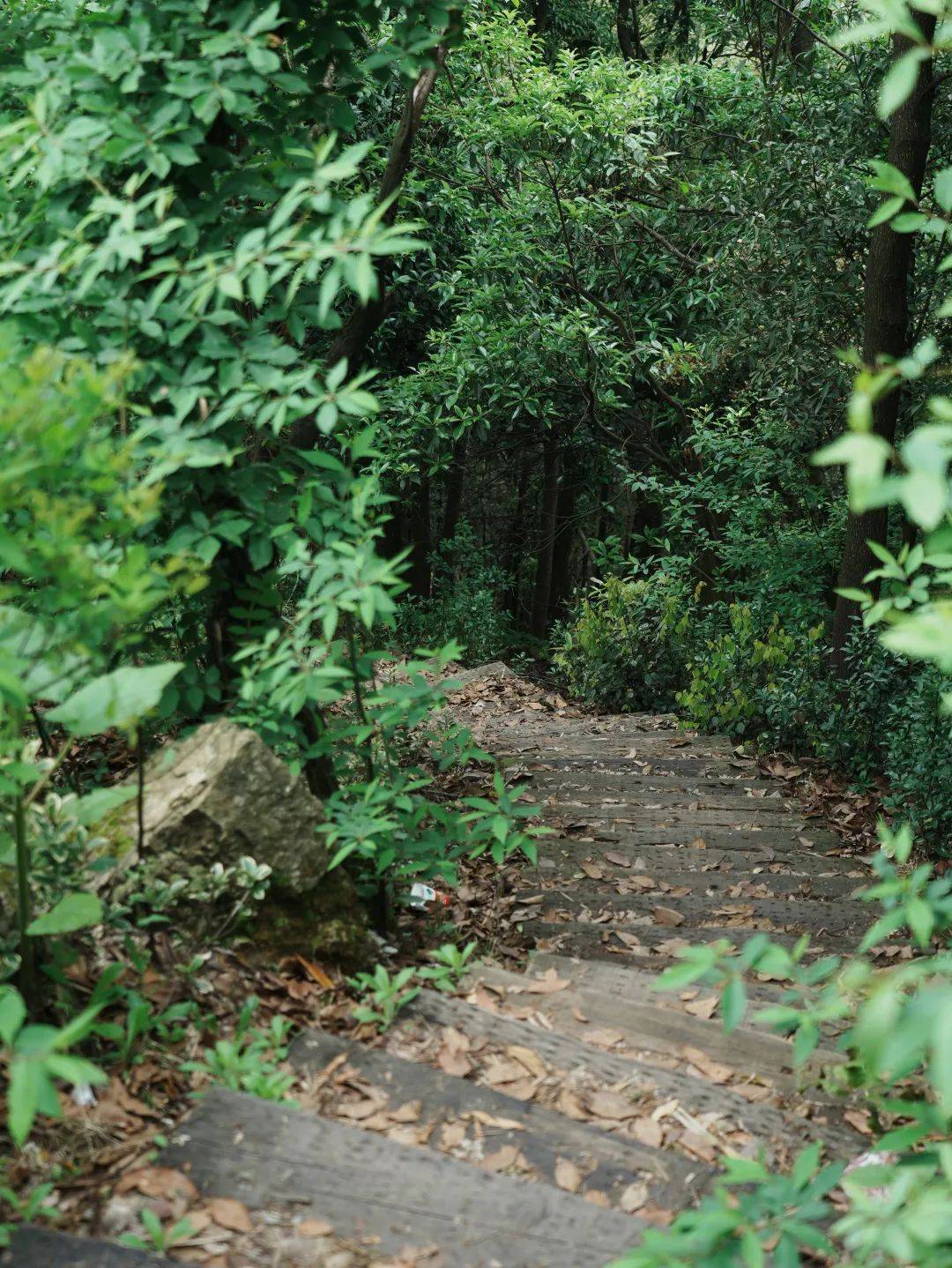 南接萧山最南端的楼塔萧南,岩上,岩山三村,北