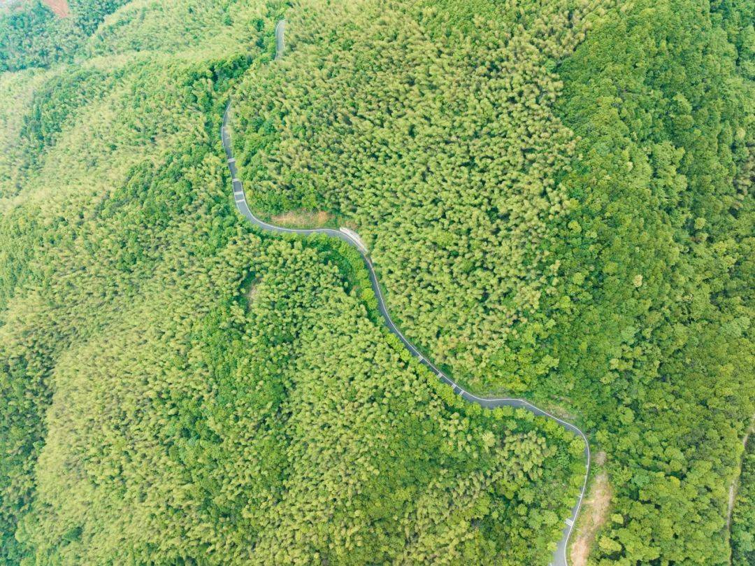 南接萧山最南端的楼塔萧南,岩上,岩山三村,北至戴村云石,串联起百药山