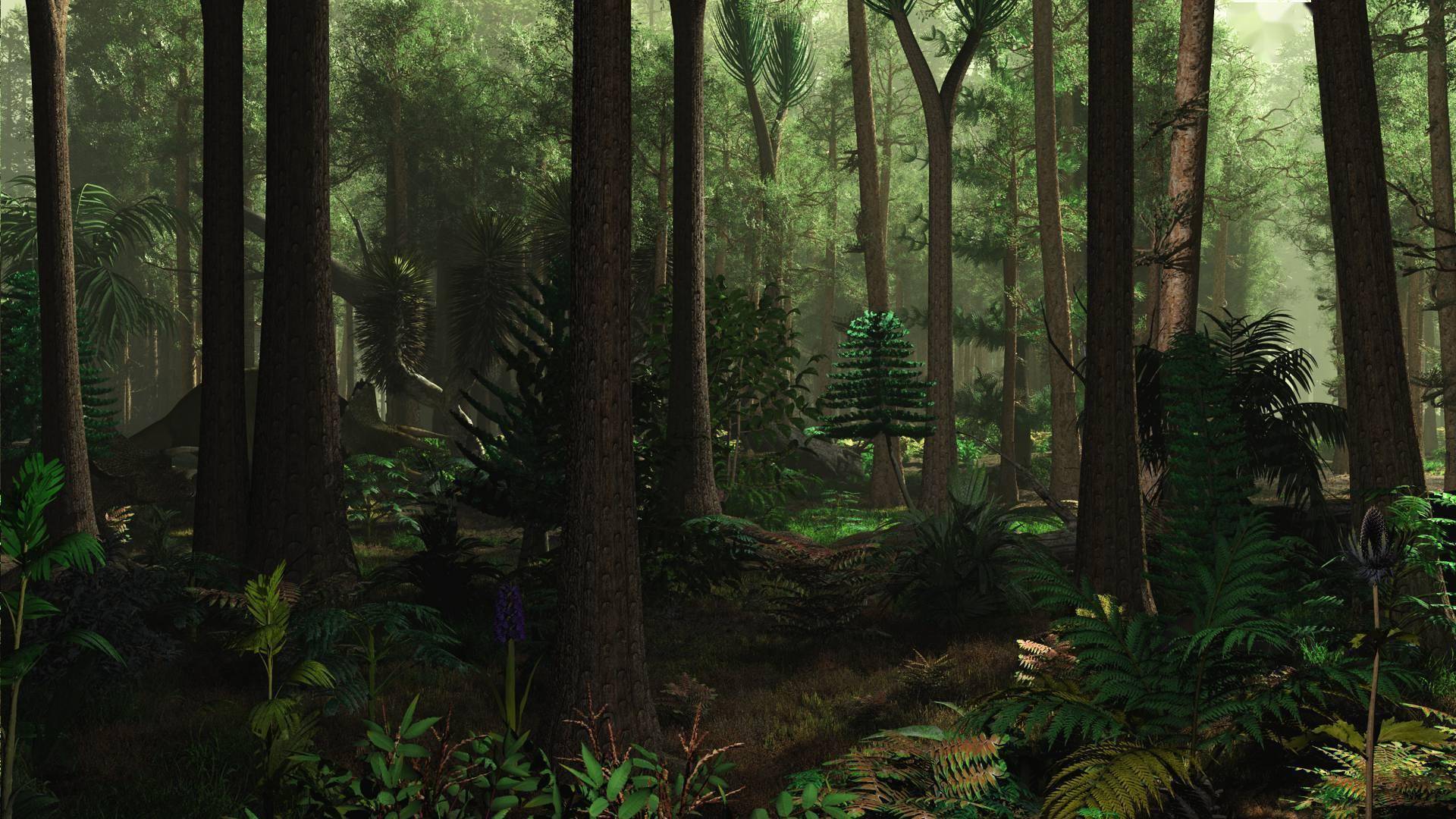 阿巴拉契亚_美国_煤炭