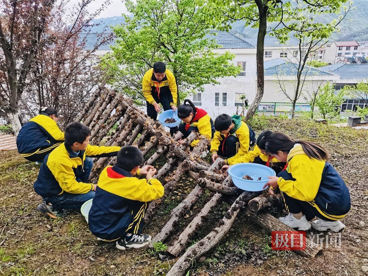 虎牙直播：最准一码一肖100%精准-【党纪学习教育】甘泉县公安局召开警示教育会议暨专题党课