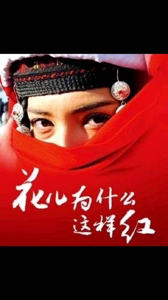 花儿为什么这样红电影观后感为什么在线