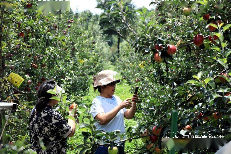 🌸快手短视频【管家婆一码一肖100中奖】_如此城市｜中轴线申遗成功，再谈梁陈方案与老北京风貌