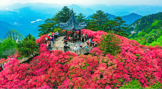 【中华长寿山·世界杜鹃园】湖北麻城龟峰山国家5a级旅游景区创建工作