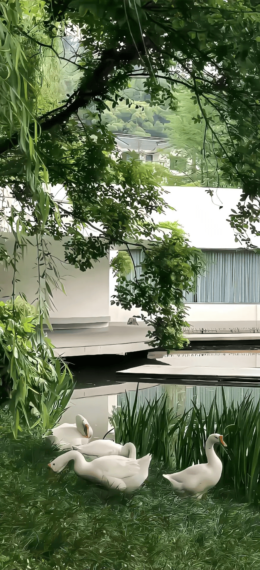 壁纸 | 夏日薄荷绿343839393338333235全面屏壁纸