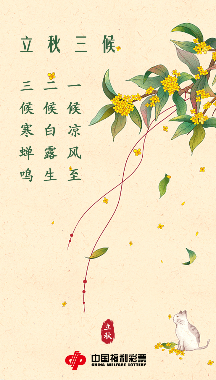 光阴的故事—24节气 | 立秋