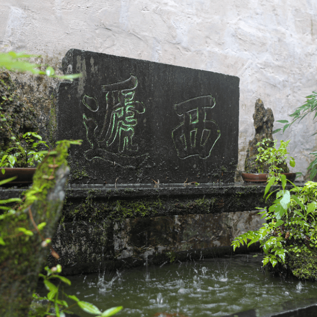 西递村,宏村景区荣获大众点评2024年"必玩榜"!