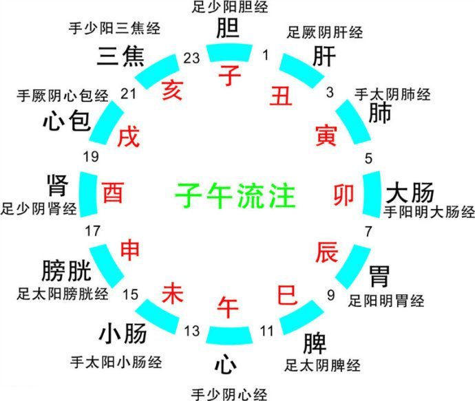 十二时辰，十二经络，享受健康从养生开始