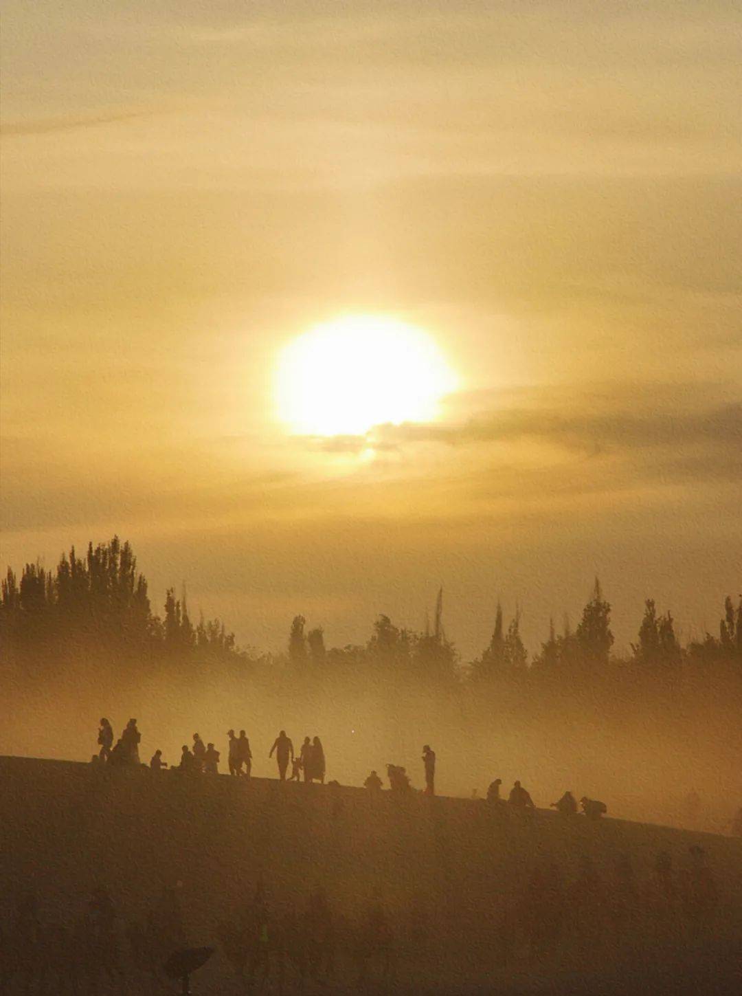 《大漠雪景》,摄影师王敦鸣▼《嘉峪关》,摄影师秦浩▼《孤影》,摄影
