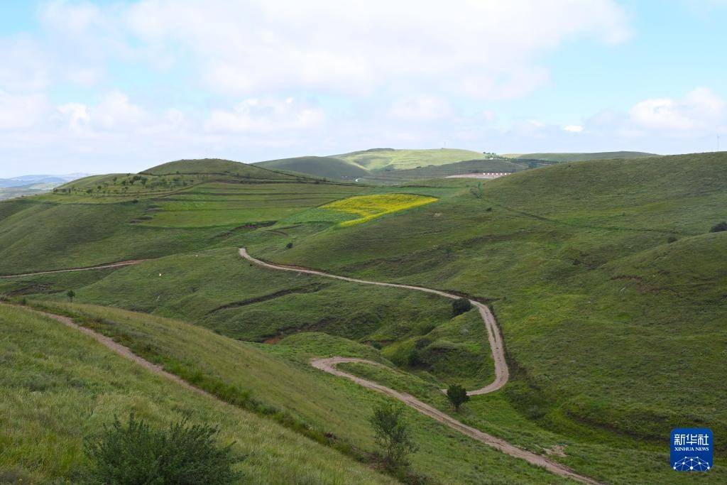 固原云雾山风景区图片