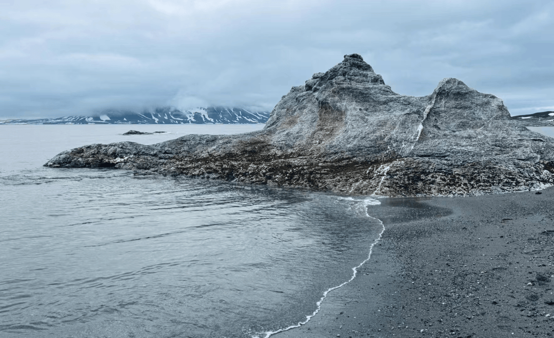 北极之旅,行行摄摄 (二):踏流冰,触冰雪,叩拜海洋动物,"冰原王者"北极