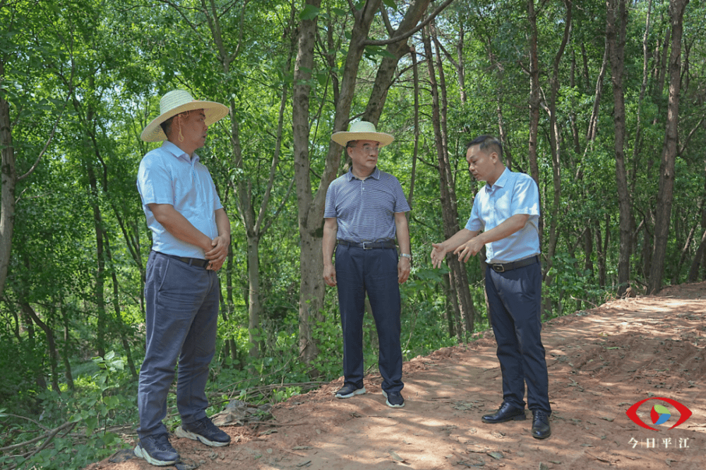 8月7日,县委书记李勇在长寿镇邵阳村,了解该村段防洪堤损毁及恢复重建