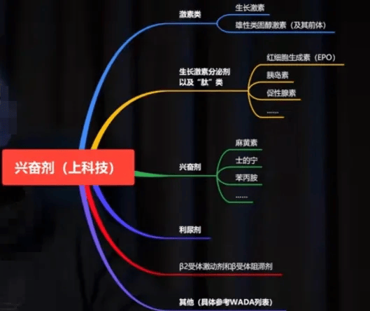 毒品思维导图图片