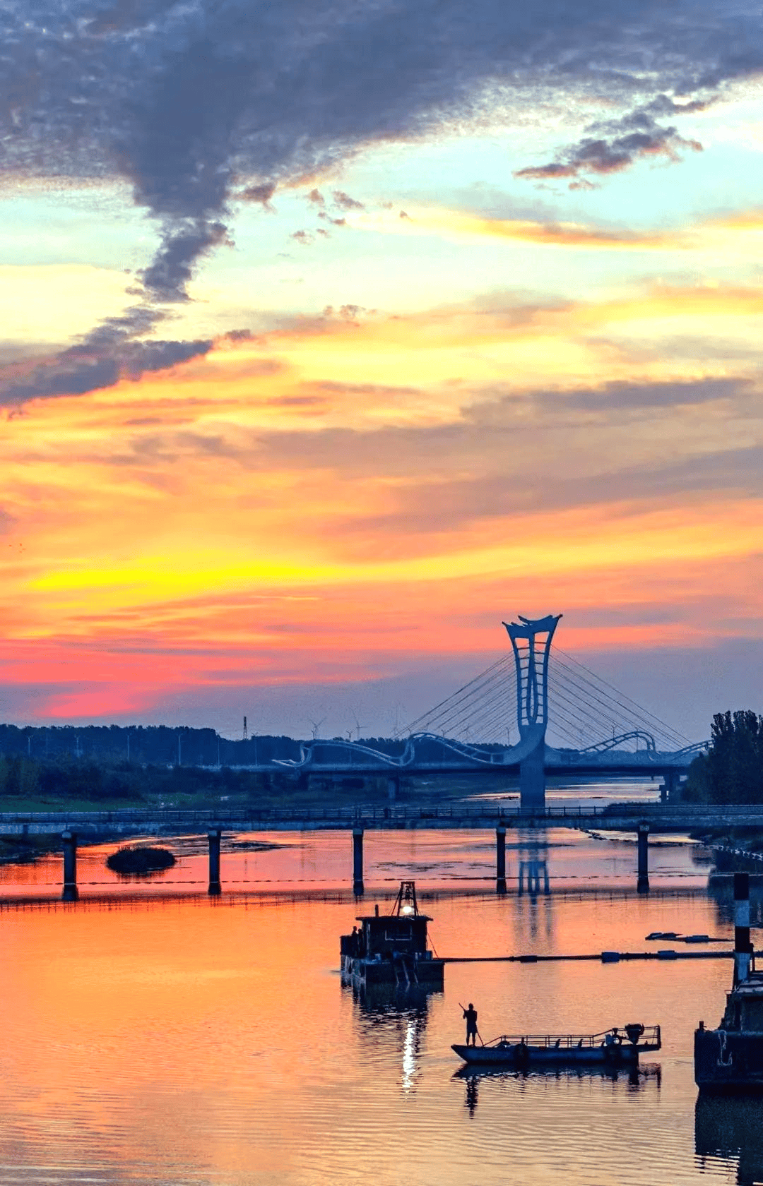 濮阳金堤河,美得不像样!