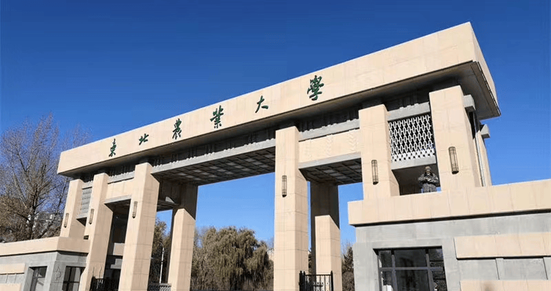 @2024级新生②||“夏”一站，东北农业大学！