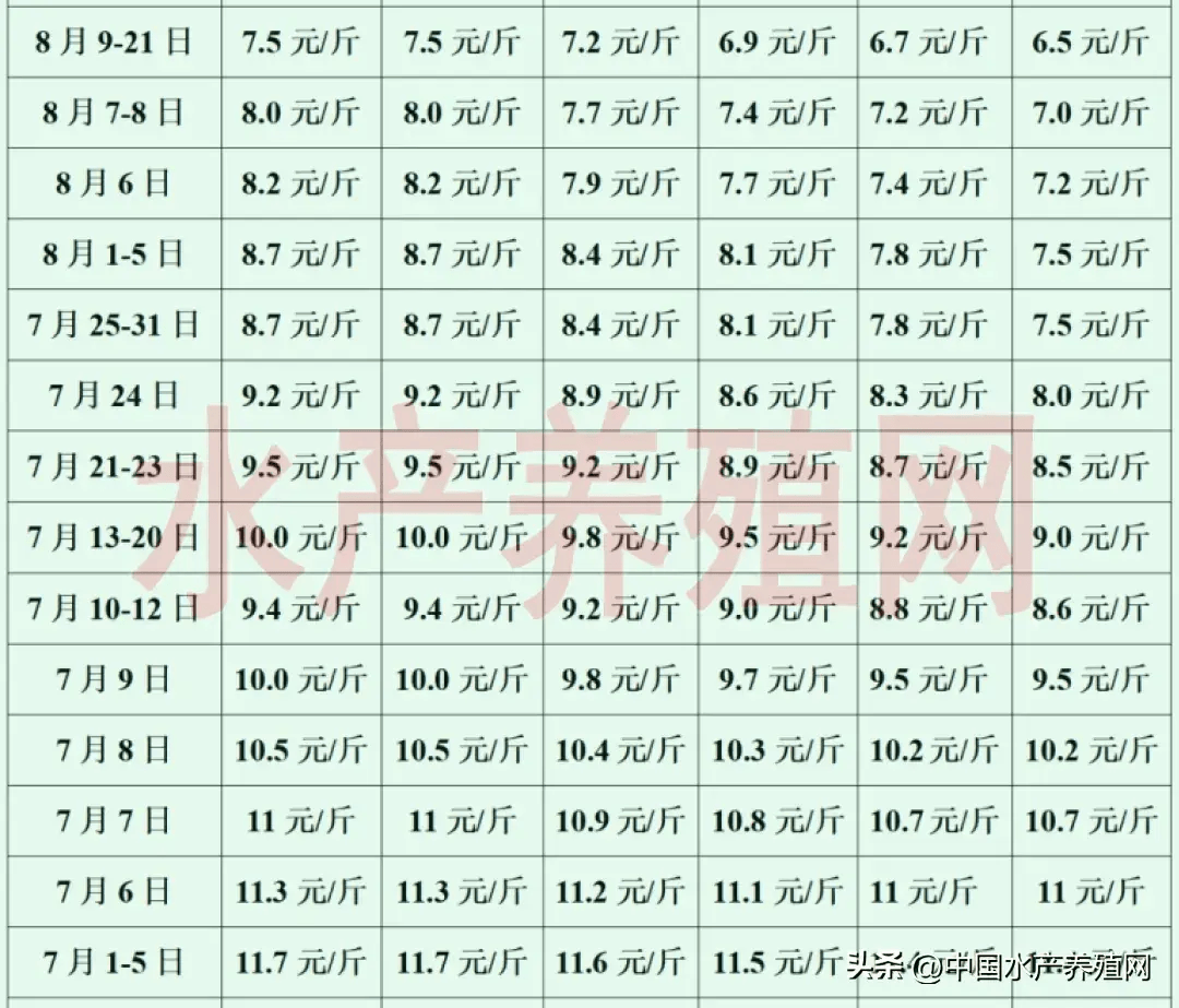 牛蛙养殖技术成本图片