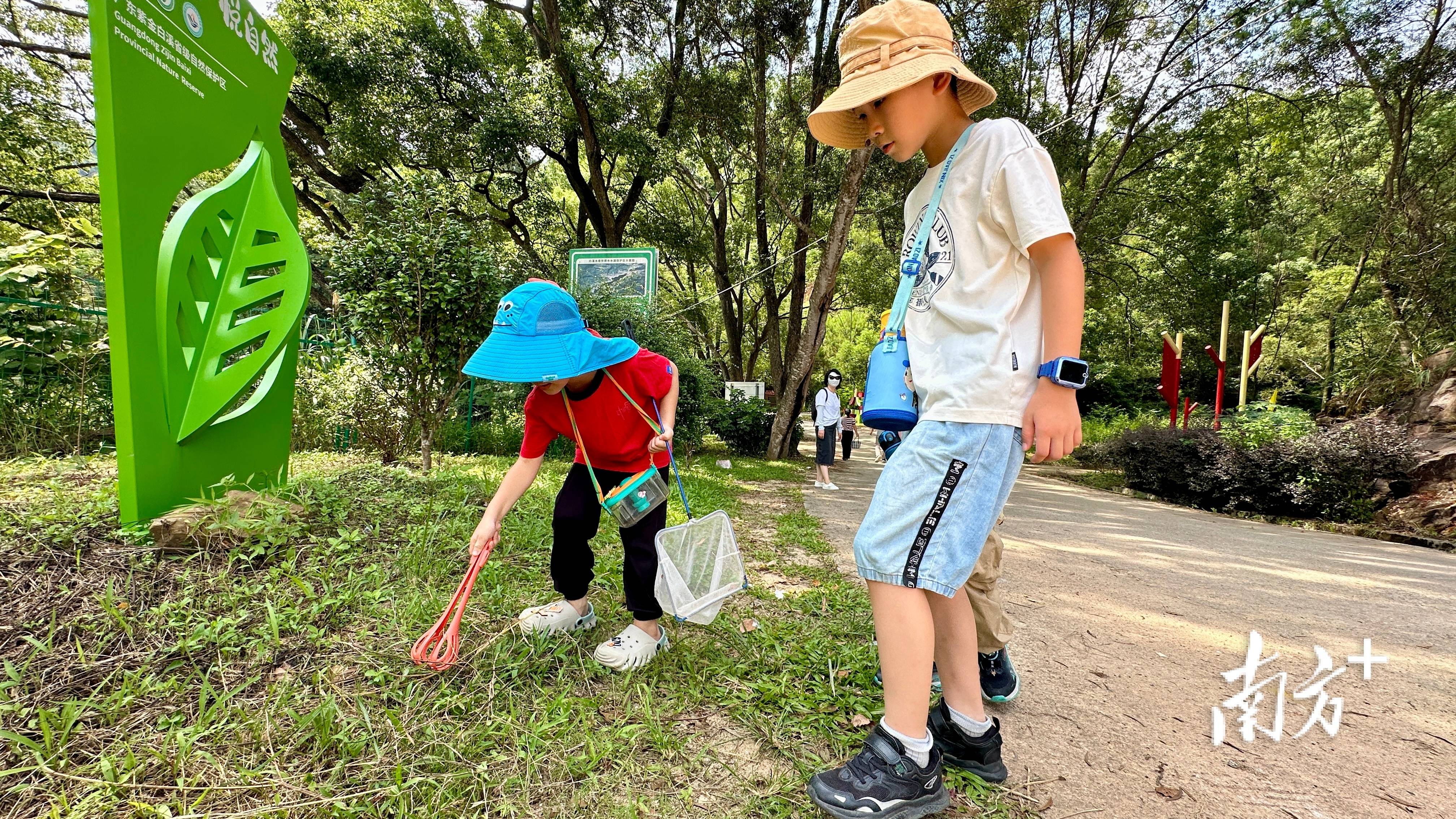 小孩捉蚂蚱的图片图片