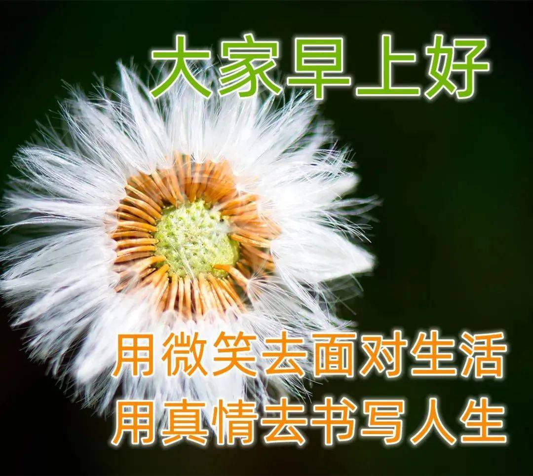 今日最新早上好表情包图片大全,每天送祝福,幸福都安康!