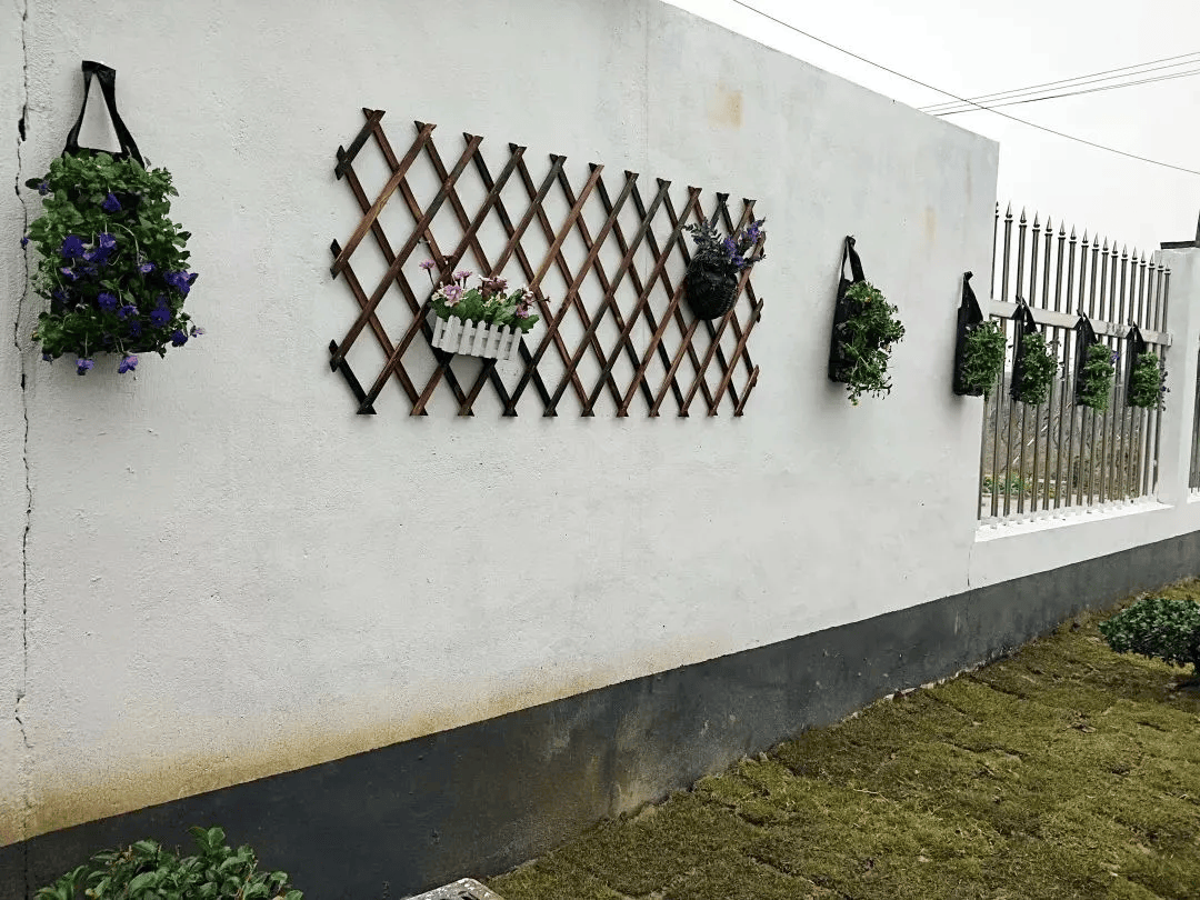 "美丽庭院"微课堂77|营造"美丽庭院"氛围之装饰庭院墙壁