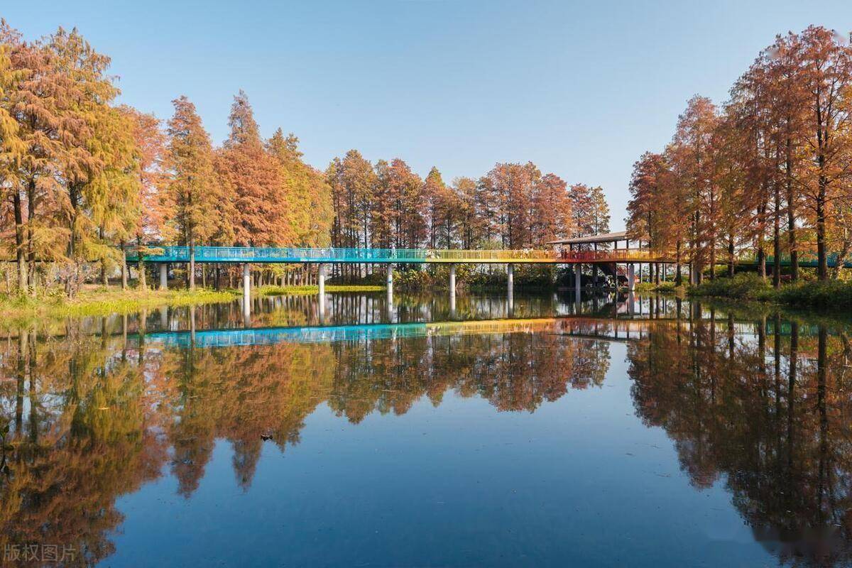 东湖景区游玩攻略 武汉东湖生态旅游风景区游玩攻略