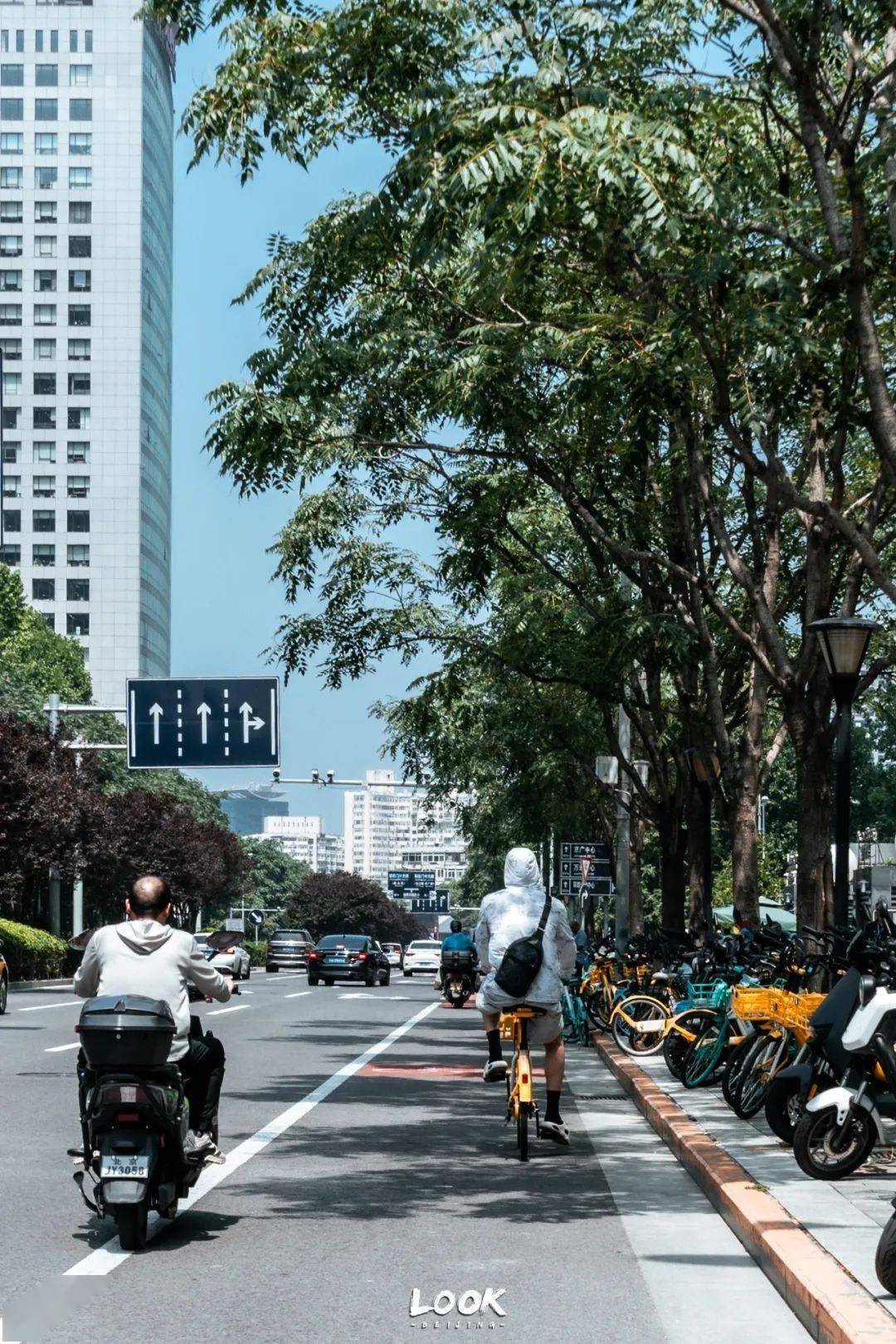 北京的夏天,真的过去了?| 北京look