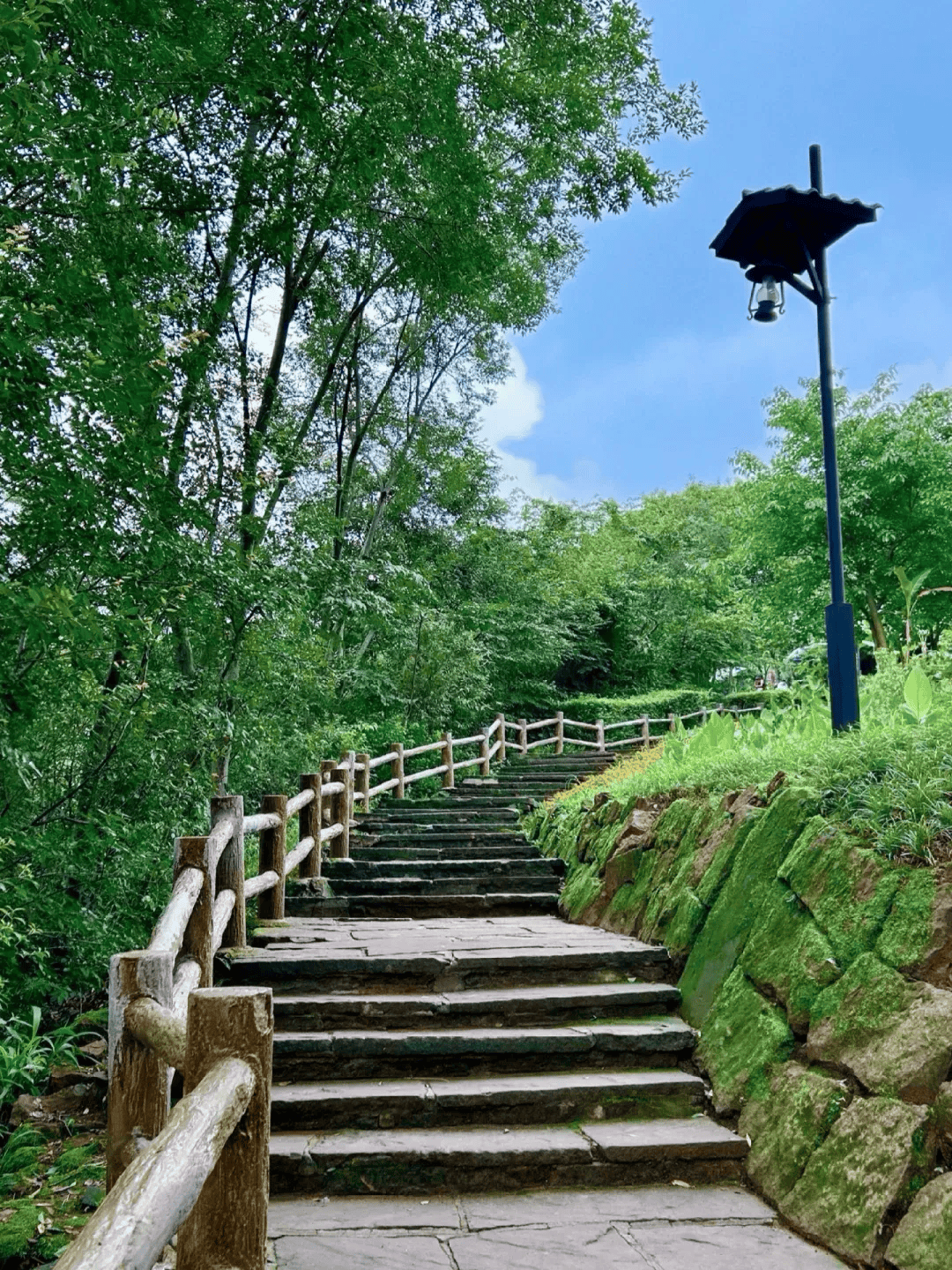 鹿寨山环山步道图片图片