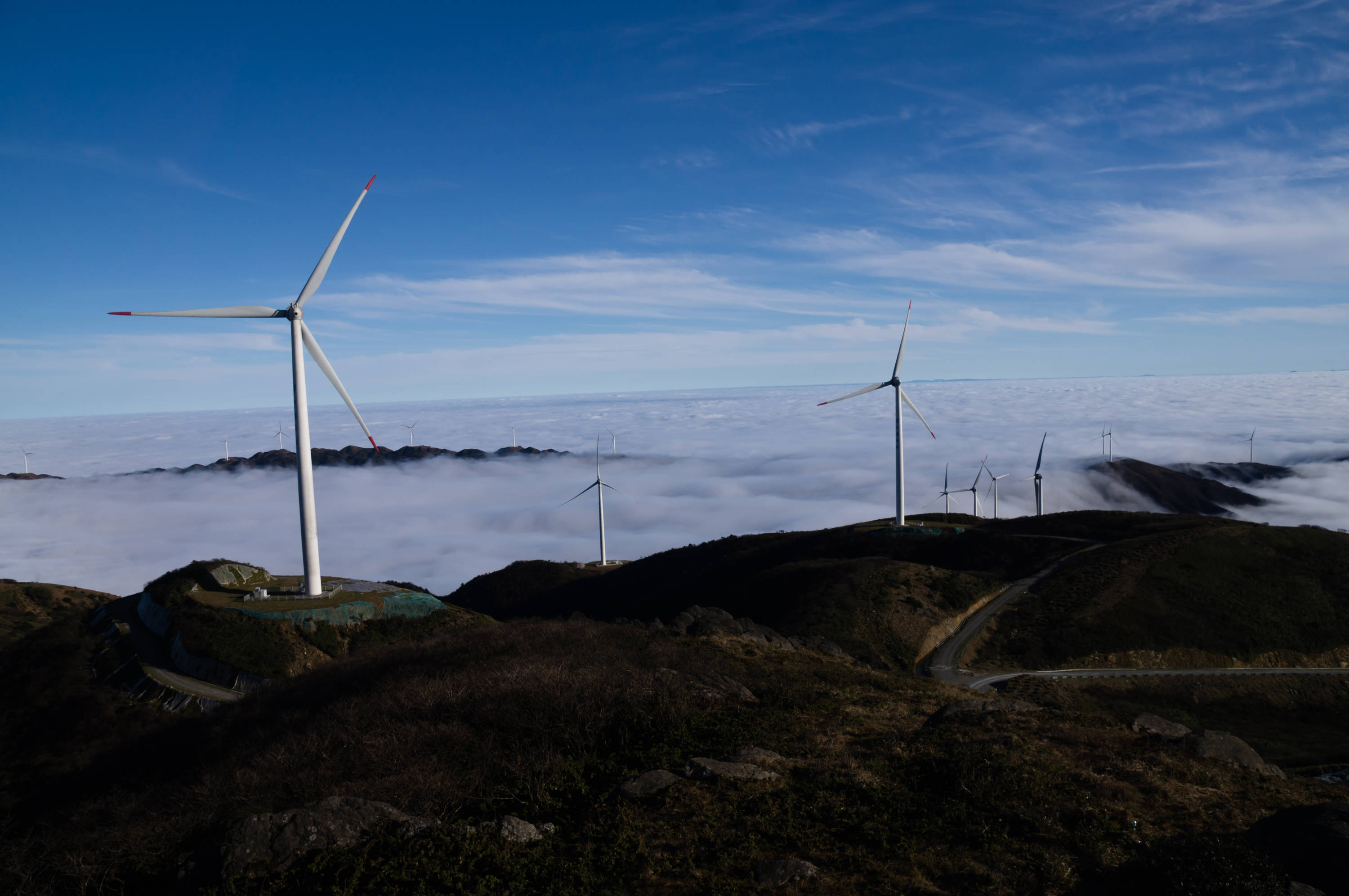 印象邵阳 每日一景:洞口县龙坪山森林康养基地