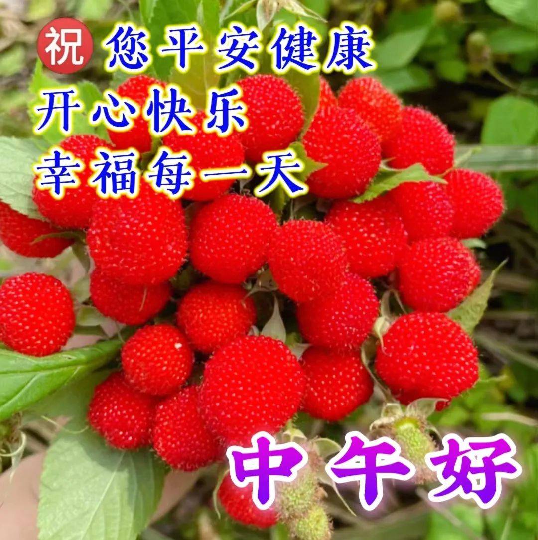 今日最新版早上好祝福大全,美好祝福,漂亮问候!_友情_亲情_亲爱的朋友