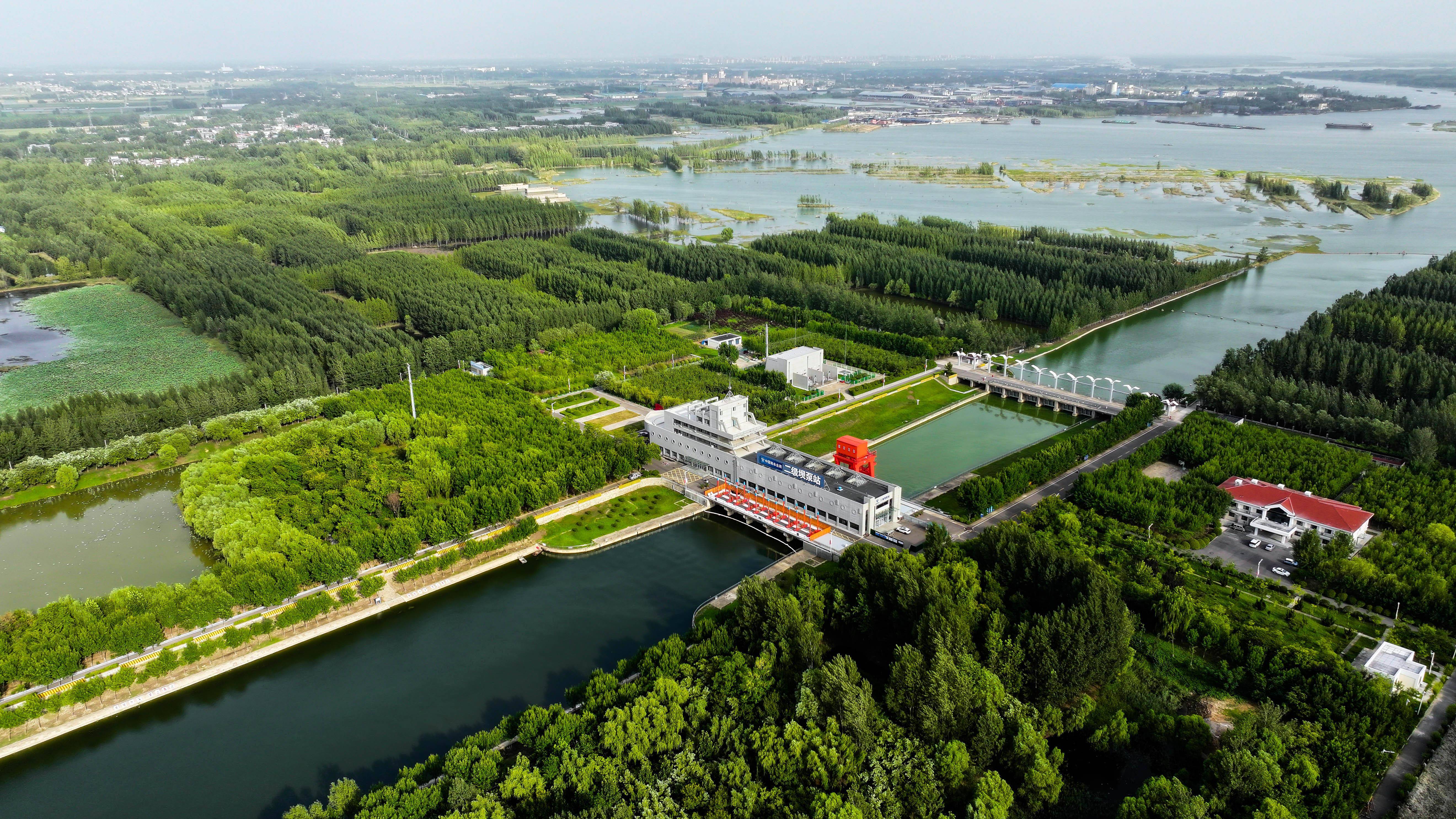 山东微山:湿地保护彰显生态靓色_微山县_济宁_郭绪雷