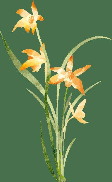 88元10本,还送金属书签!