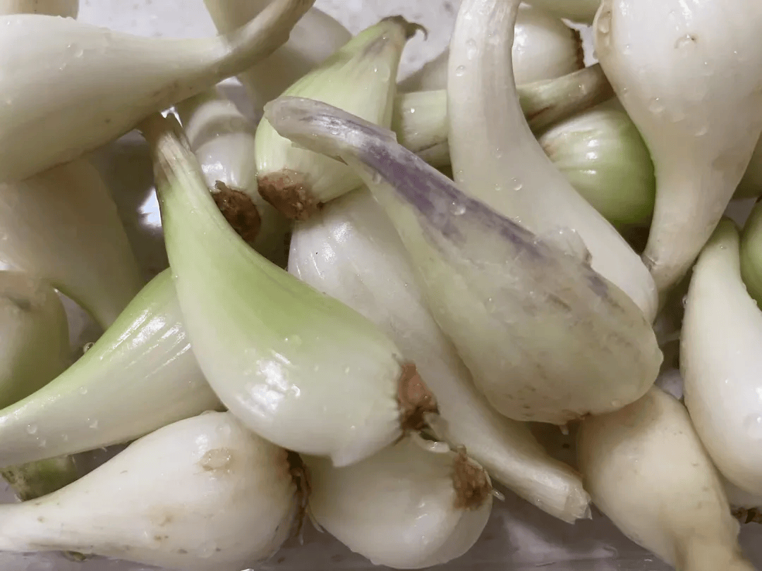 这种南方人超爱的"杀菌菜",开胃又下饭,是心脑血管疾病的"良药"