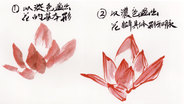 图文示范,一起学画写意荷花!