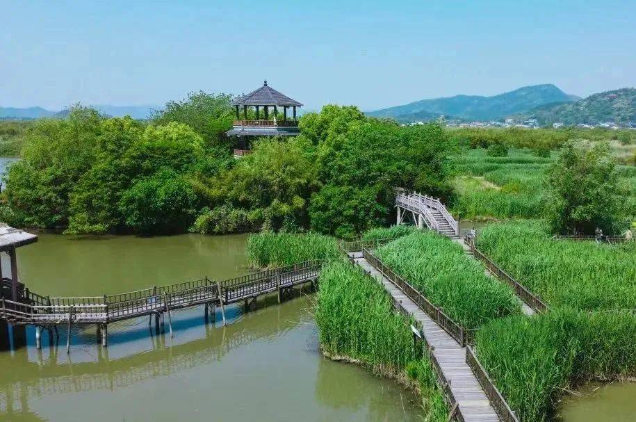 来湖州,赴一场湿地生态之旅!