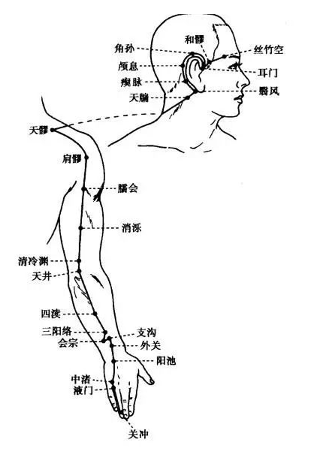 全身刮痧经络图 走向图片