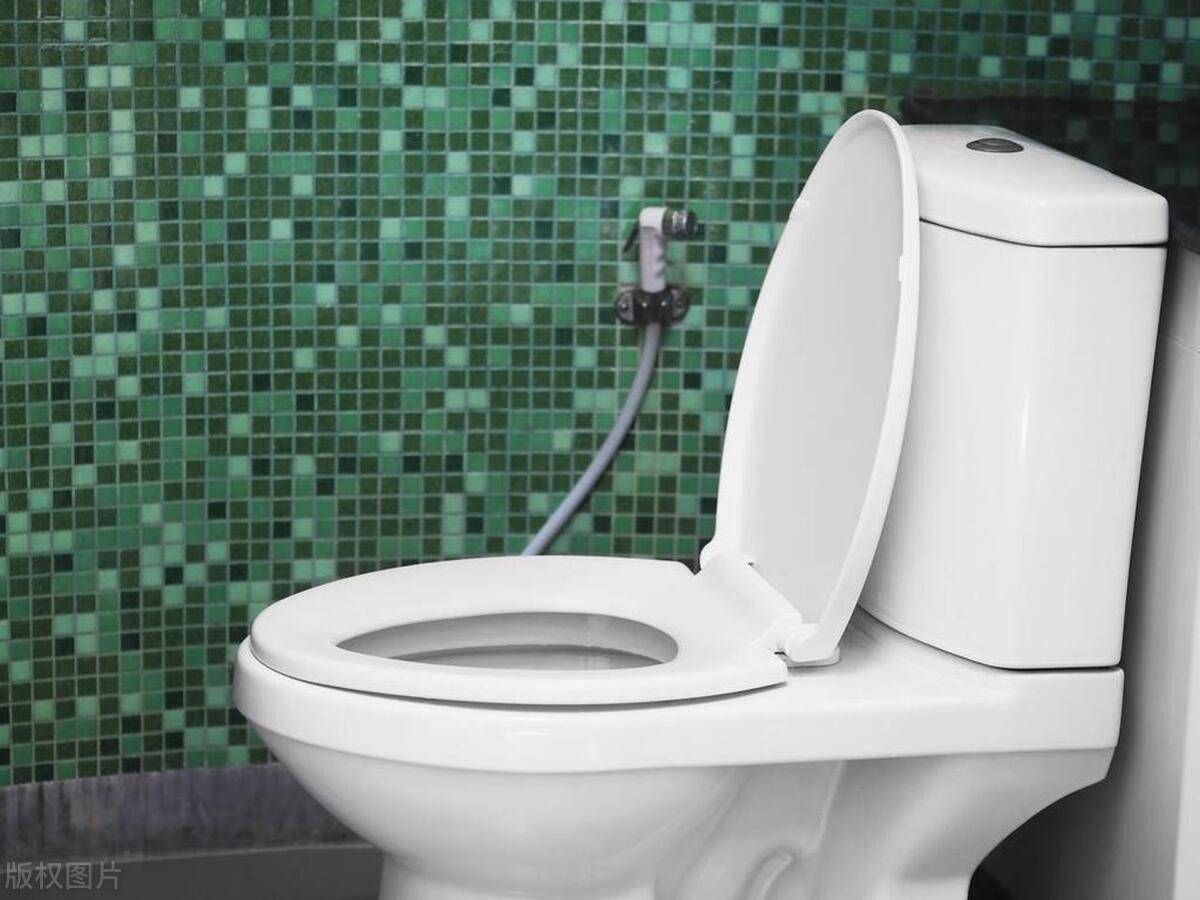 建议大家:买马桶时,尽量避开"这4种",并非胡说,是经验教训