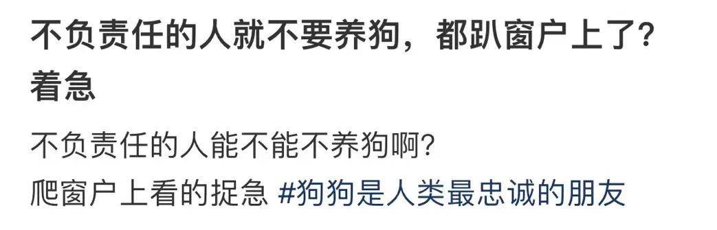 看到狗狗趴在阳台，怒骂主人不负责任，结果一个大反转……