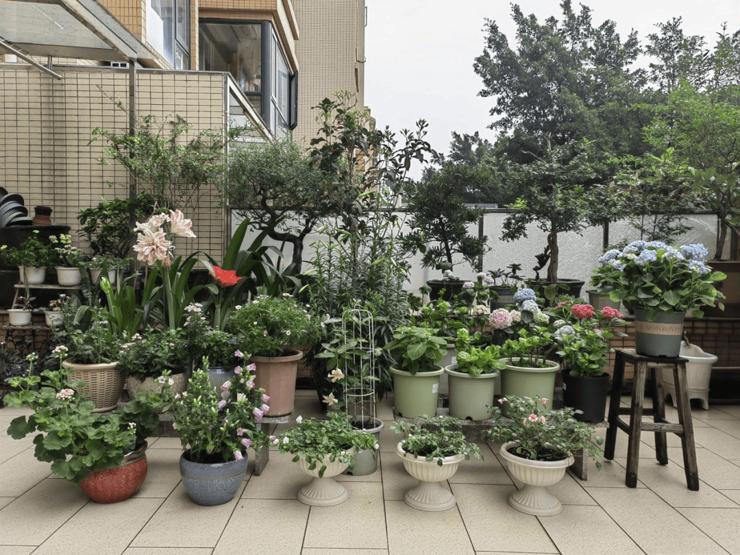 聚焦"百千万工程"丨打造"美丽庭院 "矩阵,让家门口的"庭院美"变身致富