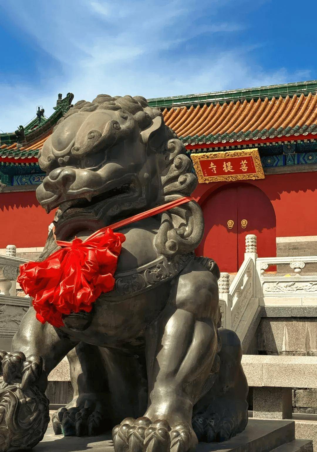 菩提寺的前身是白云寺始建于明朝末年已有600多年的历史