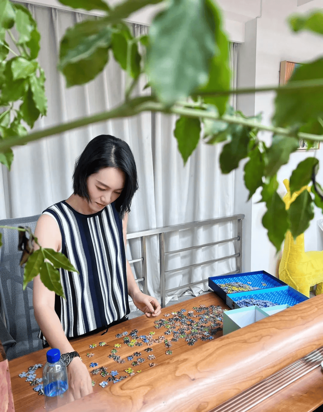 朱丹大豪宅"走红"网络:绿植满家,周一围的品位不俗