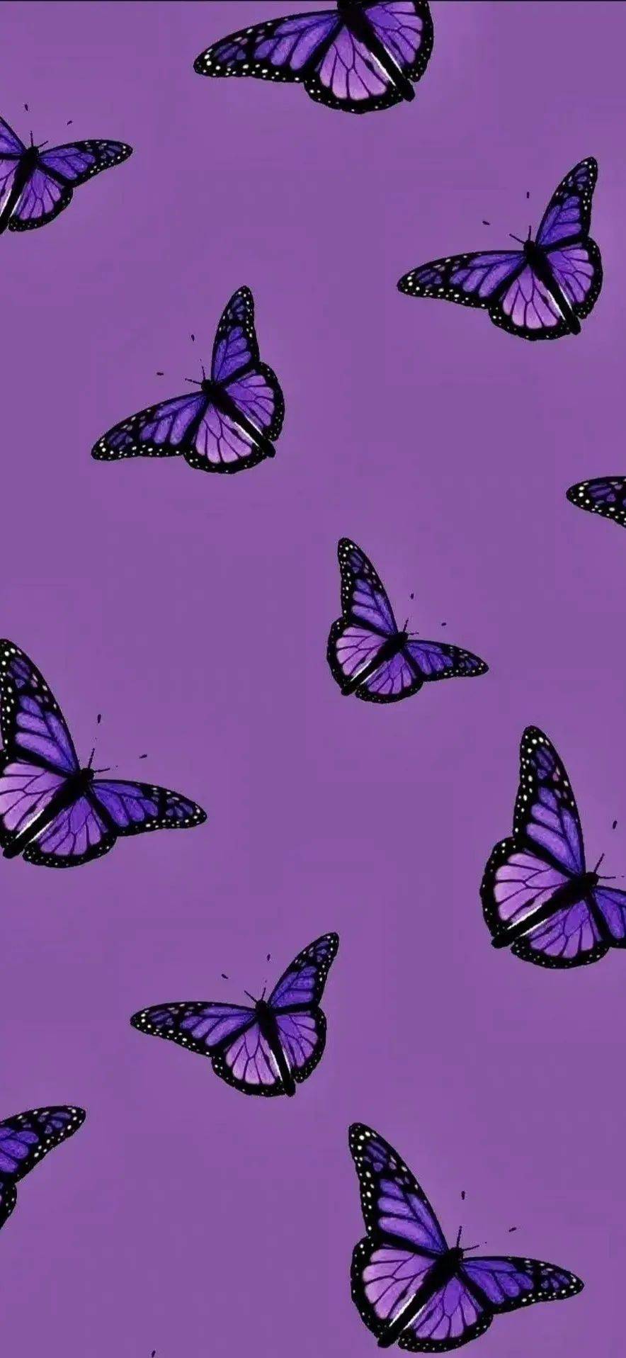 专题|ins风浪漫紫色壁纸分享