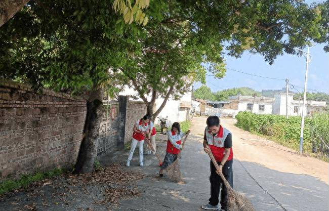 龙仙镇开展人居环境整治村庄清洁"夏季攻坚"行动