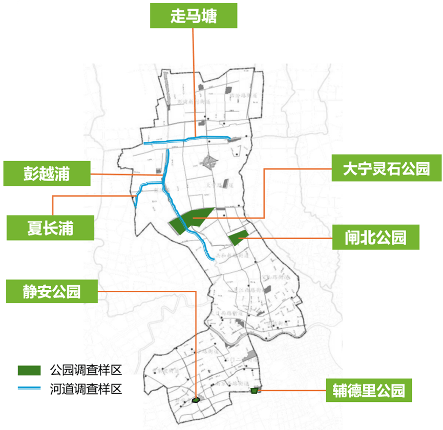 揭秘!静安“绿肺”中的这些“羽翼精灵”,都被我们拍到啦!_公园_特征_大宁