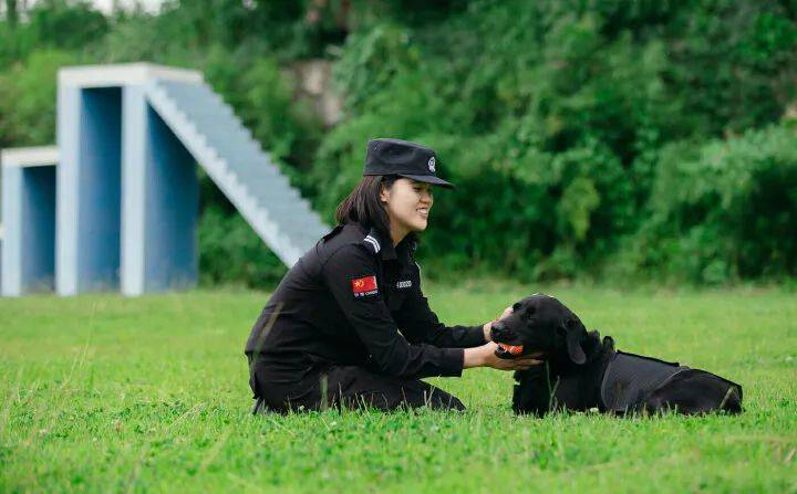 武警警犬基地图片