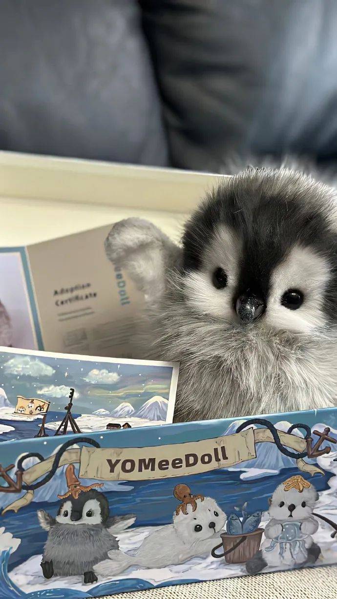 壁纸|好看的壁纸当然要天天换!